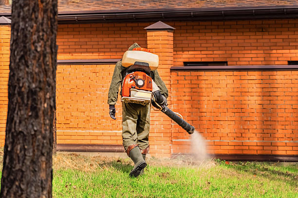 Bed Bug Clearance Verification and Documentation in Hudson Oaks